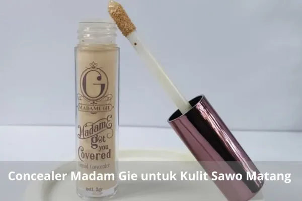 Concealer madame gie untuk kulit sawo matang