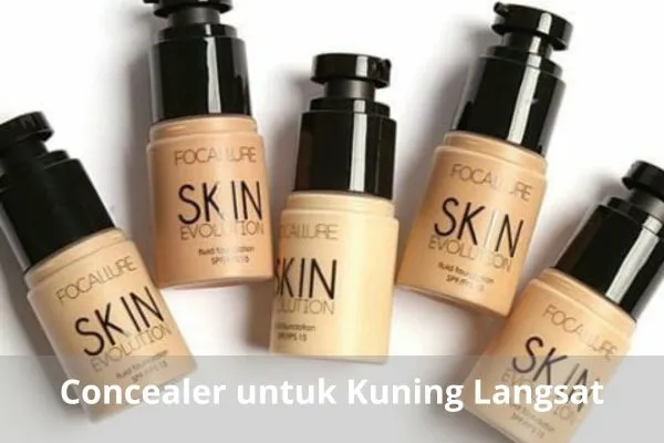 Concealer Untuk Kuning Langsat